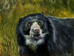 Mito del oso ucumari